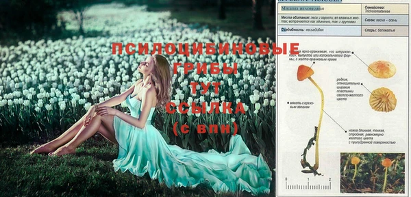 mix Лихославль
