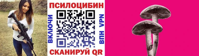 Галлюциногенные грибы Cubensis  Купить закладки  Бугульма 